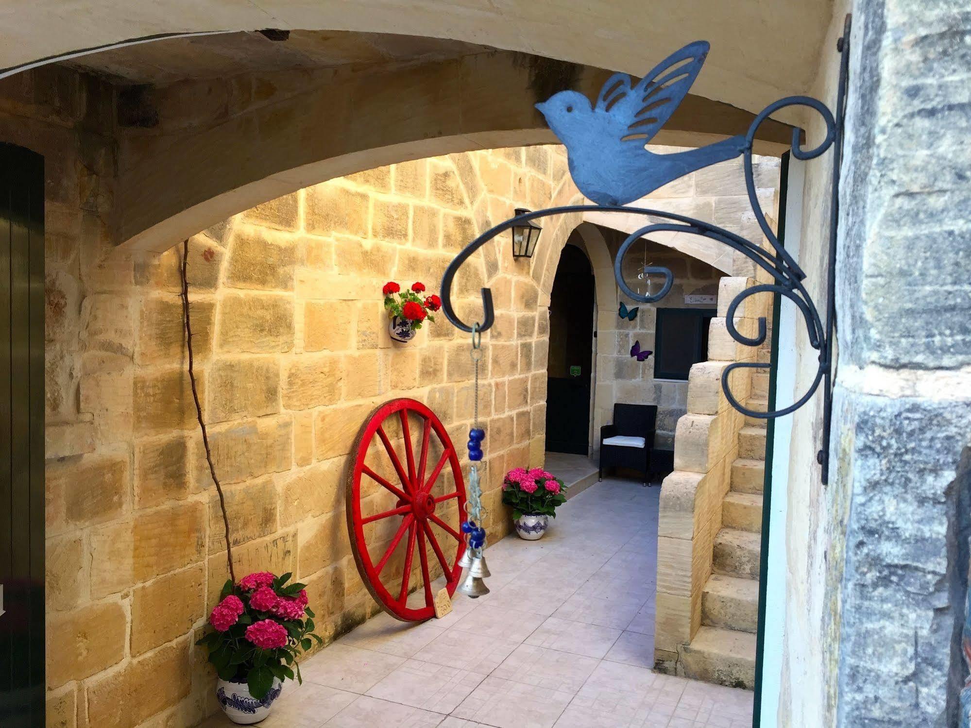 ויקטוריה Ellie Boo Bed & Breakfast מראה חיצוני תמונה
